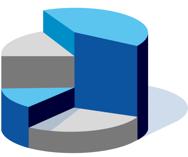 4-month-program